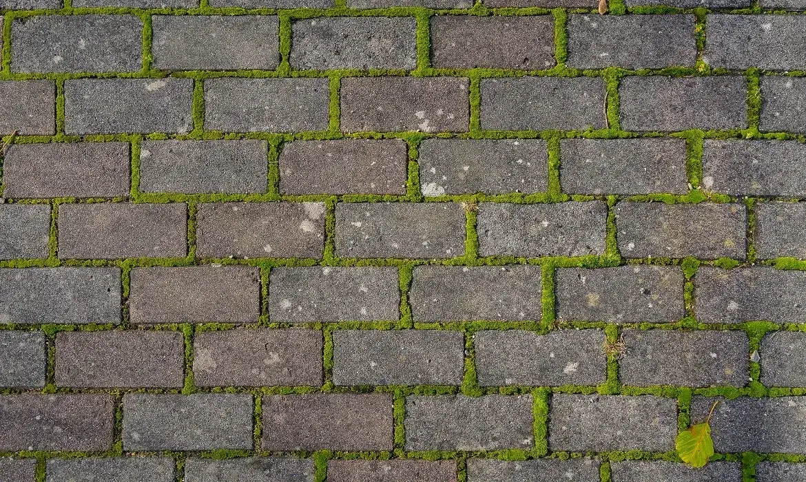 Jak usunąć zielony nalot z kostki brukowej - skuteczne metody i porady