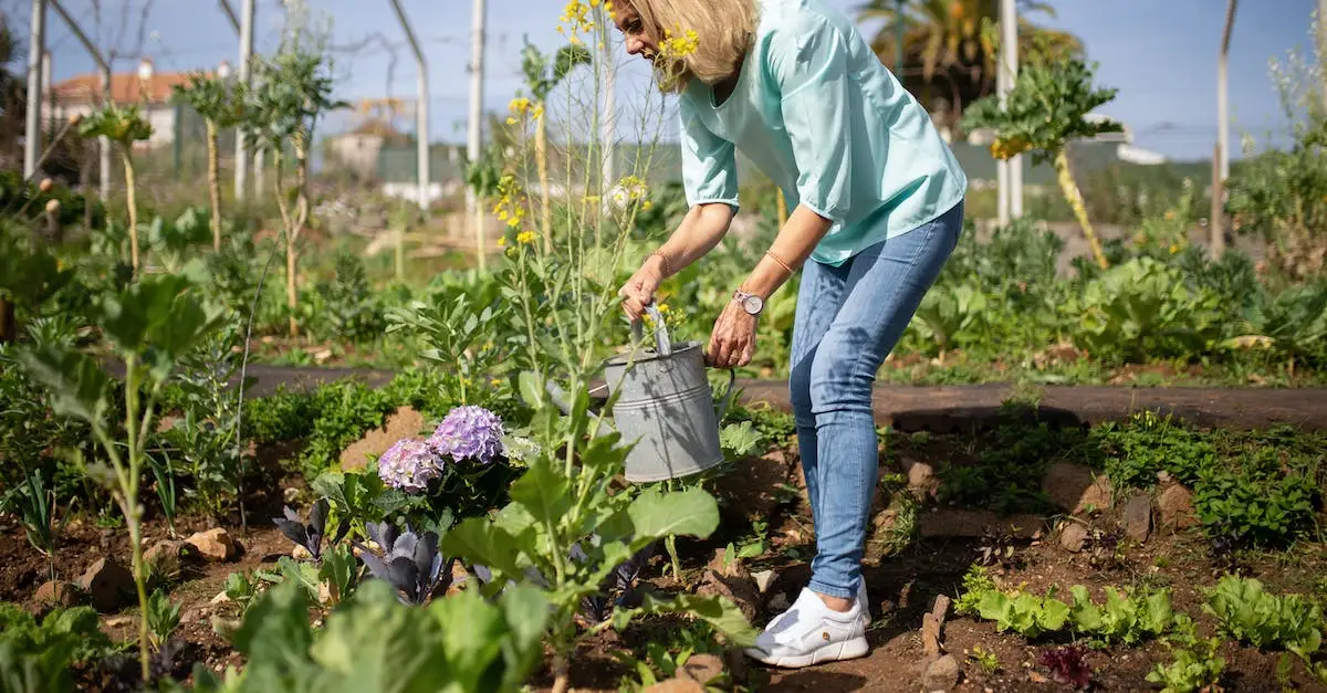 Jak realnie chronić środowisko na co dzień? 25 porad