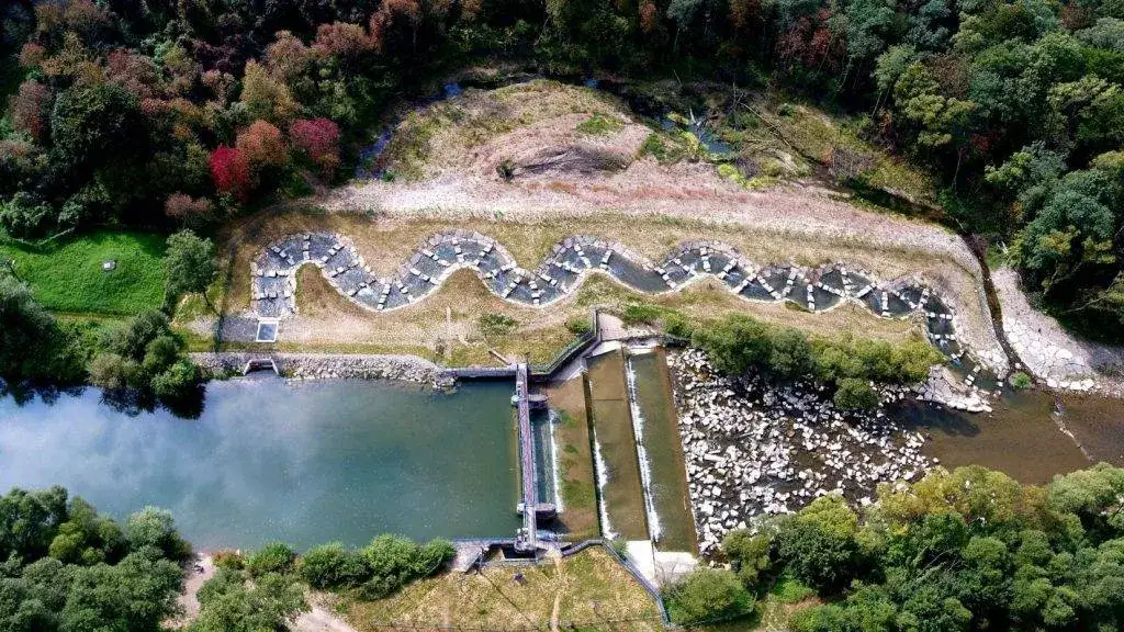 Jezioro Zemborzyckie w Lublinie – idealne miejsce na relaks i rekreację
