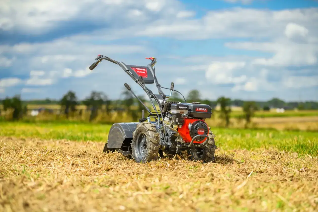 Glebogryzarka Cedrus: Ranking, Opinie i Poradnik Wyboru (2024)