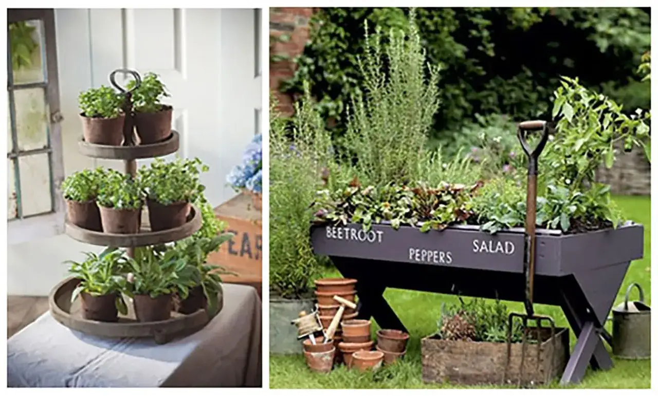 Inspiracje do ogrodu: zioła na piętrowej półce i w skrzyni z napisem "Beetroot, Peppers, Salad".