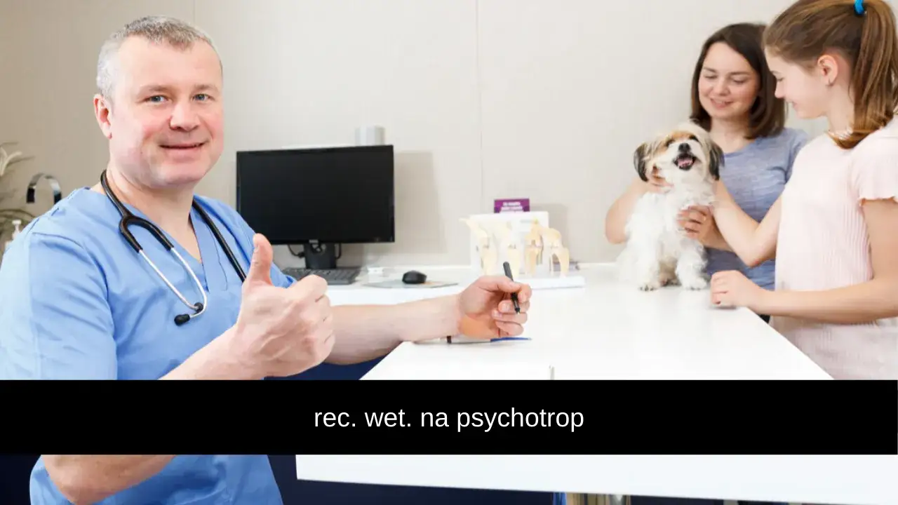 Czy weterynarz może wypisać receptę dla człowieka? Oto prawda