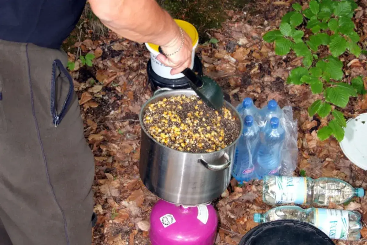 Przygotowanie grochu na ryby: duży garnek z ziarnami kukurydzy i grochu na kuchence turystycznej. W tle butelki z wodą.