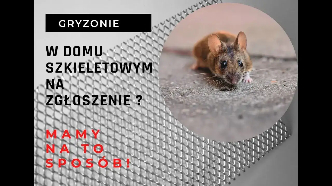 Skuteczne sposoby na zabezpieczenie styropianu przed myszami