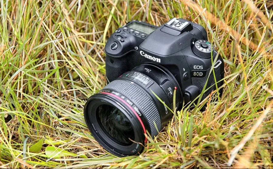Lustrzanka Canon EOS 80D - najlepszy wybór dla zaawansowanych amatorów