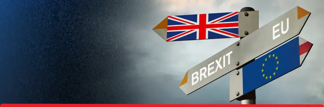 Co możesz wwieźć do Anglii po Brexicie? Uniknij problemów!