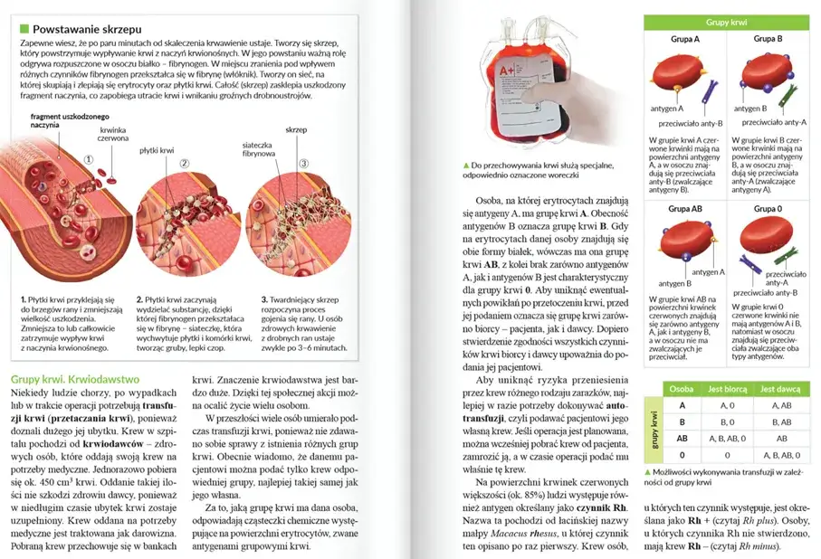 Czy biologia to nauka ścisła? Odpowiedź może cię zaskoczyć!