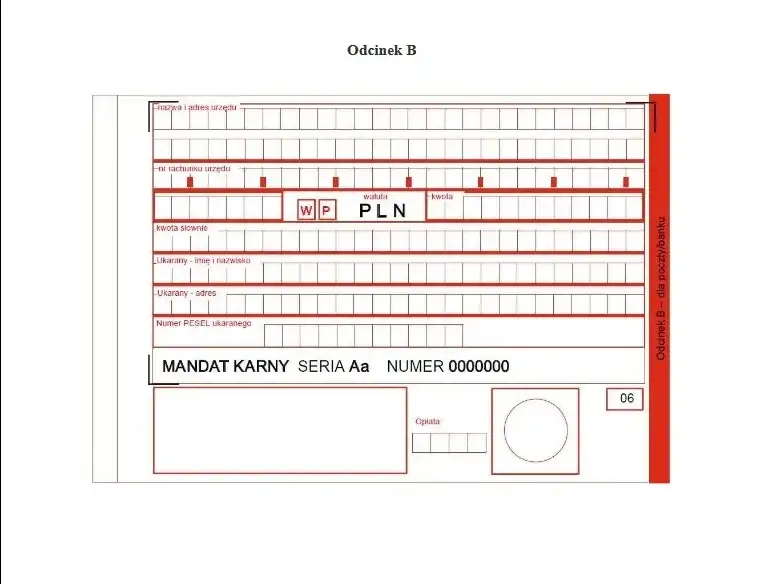 Jak wygląda mandat? Sprawdź, co zawiera i jak go rozpoznać!