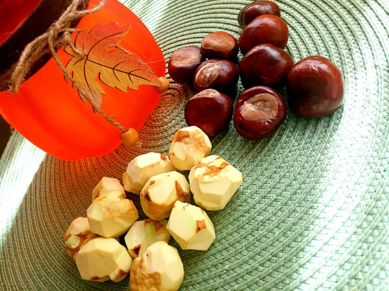 Jak zrobić strój kasztana dla dziecka – łatwe i kreatywne pomysły