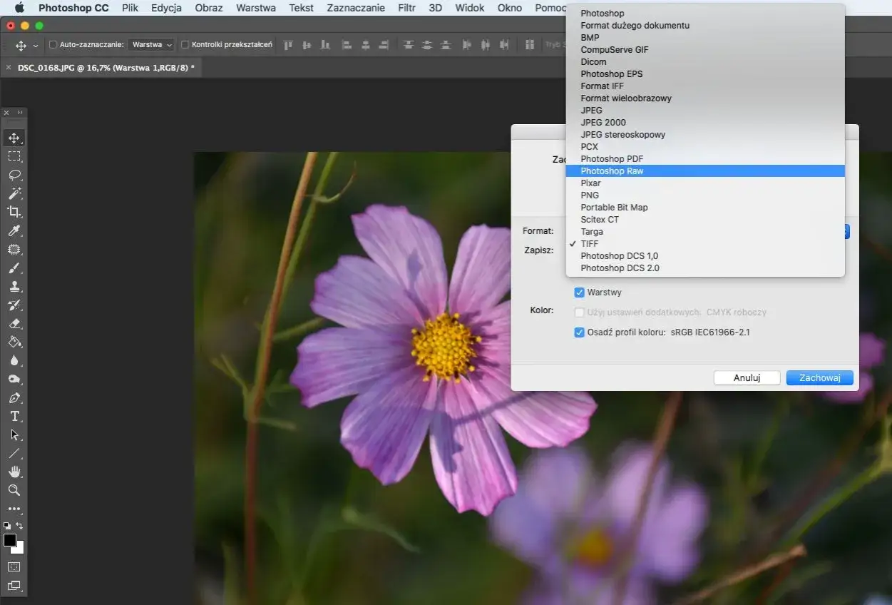 Jak zapisać zdjęcie w Photoshopie: Poradnik JPG, PNG, TIFF