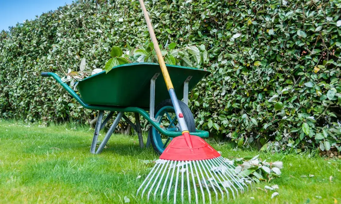 Jakie narzędzia do trawnika są niezbędne? Lista must-have
