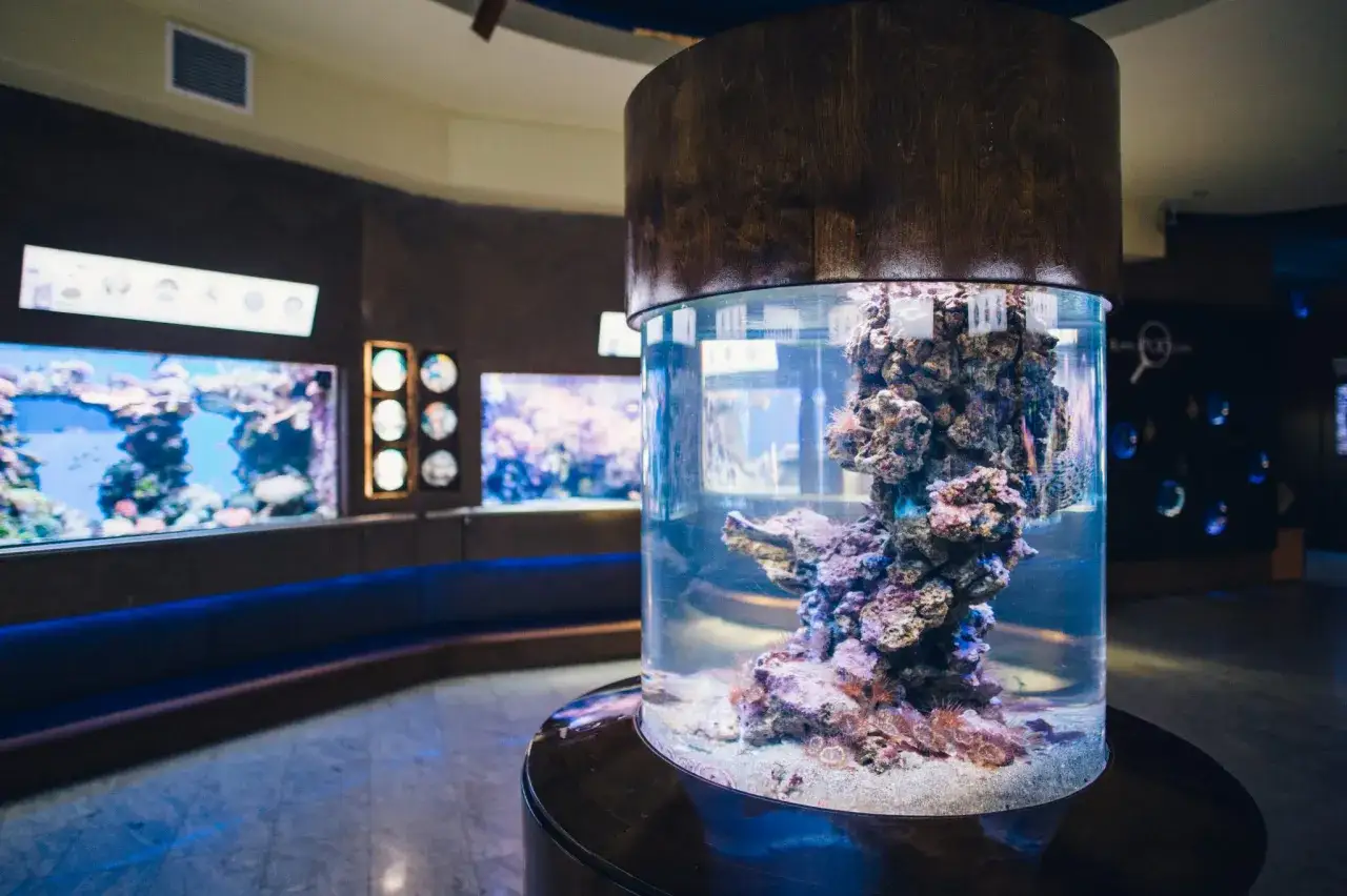 Akwarium Gdyńskie: Zdjęcia jak z National Geographic? Poradnik!