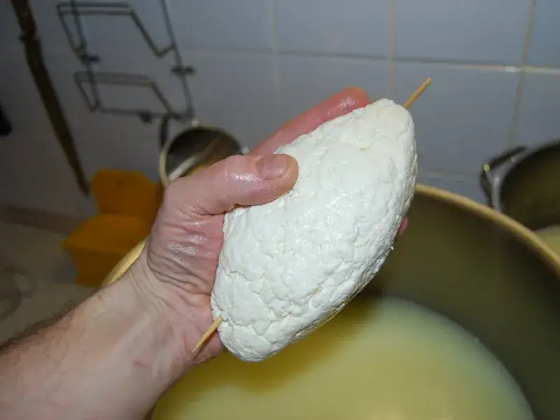 Jak zrobić oscypek z krowiego mleka - łatwy przepis krok po kroku