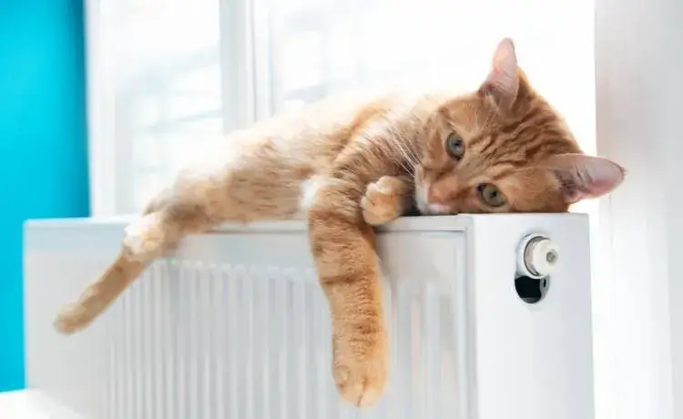 Kiedy grzeją w blokach? Prawa, temperatury i co zrobić, gdy zimno!