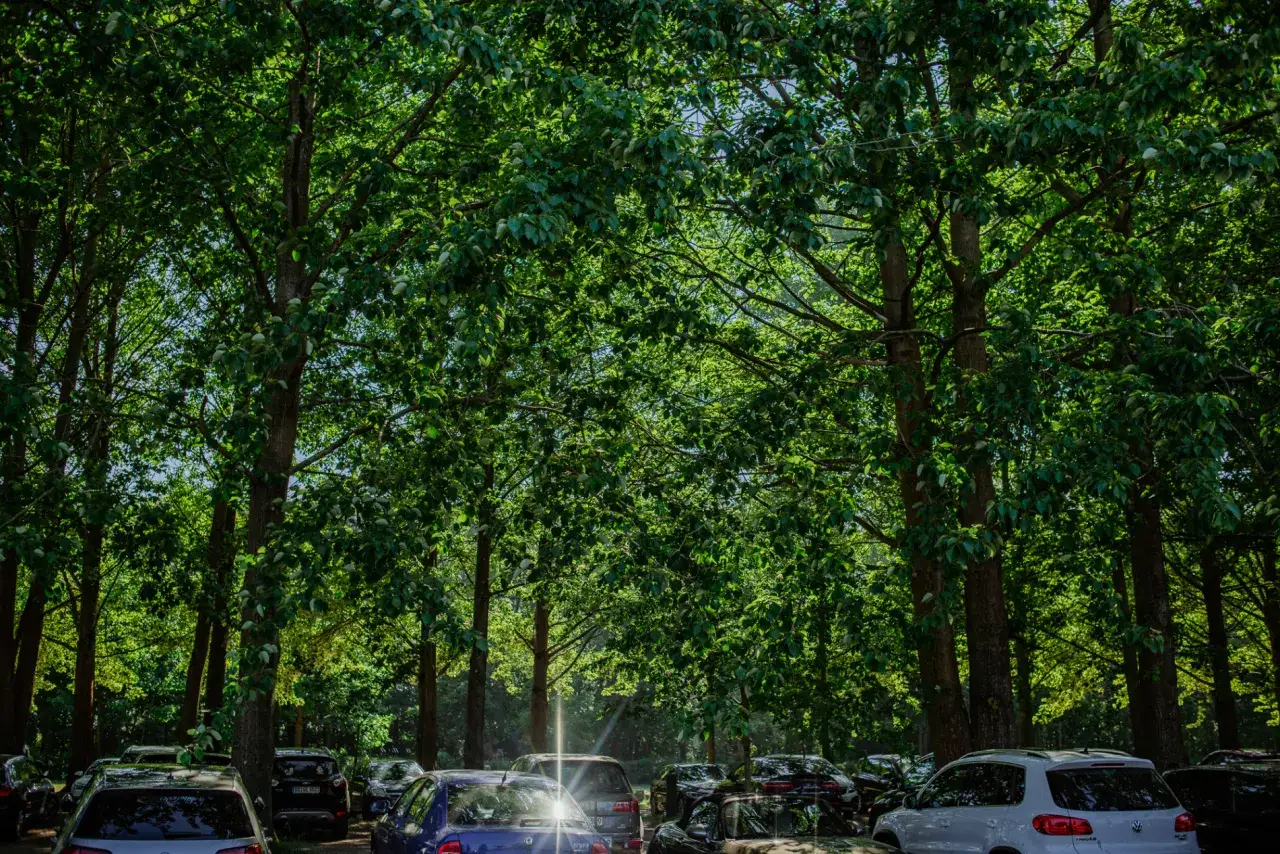 Binz Karten: Ihr cleverer Wegweiser für Strand, Parken & mehr