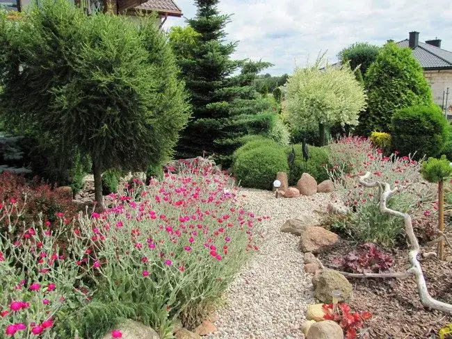 Jak zgłosić się do konkursu ogrodowego? Uniknij tych błędów!