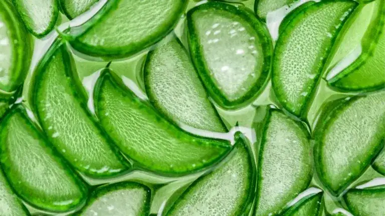 Czy aloes uczula? Poznaj objawy alergii i jak ich uniknąć