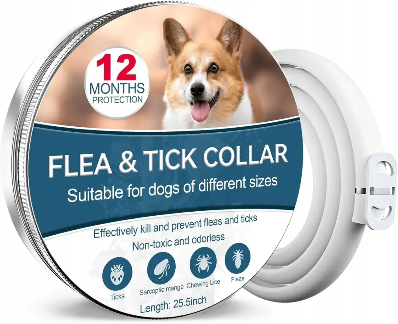 Czy obroża przeciw kleszczom jest szkodliwa dla psa? Sprawdź ryzyko