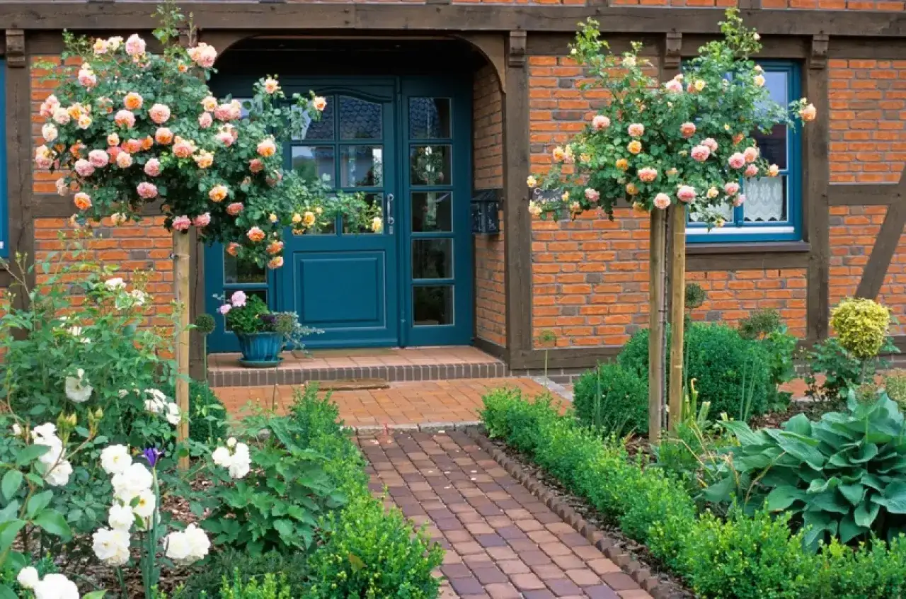 Jak zaprojektować ogród przed domem: kwitnące róże pnące i bukszpany tworzą urokliwe wejście do domu z cegły.