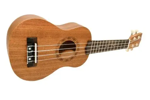 Ile kosztuje ukulele? Ceny od najtańszych do najdroższych modeli