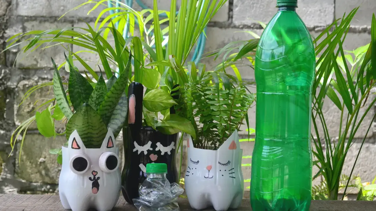 Jak zrobić doniczkę z butelki plastikowej i zaoszczędzić na zakupach