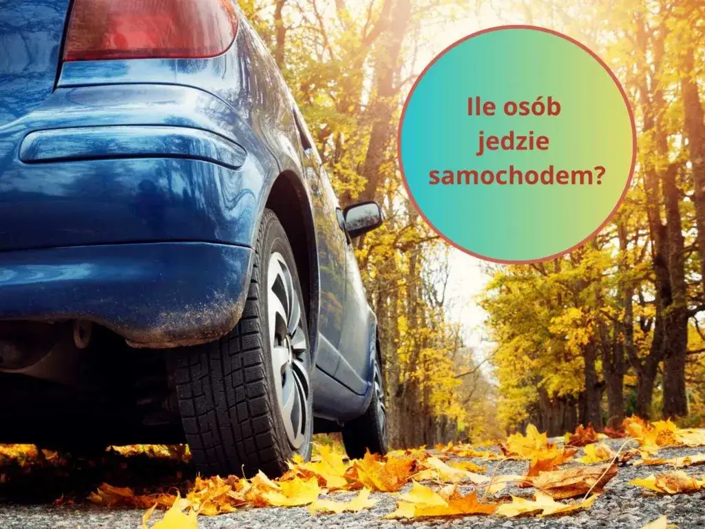 Zagadki o samochodach – rozwój dziecięcej wyobraźni i logicznego myślenia