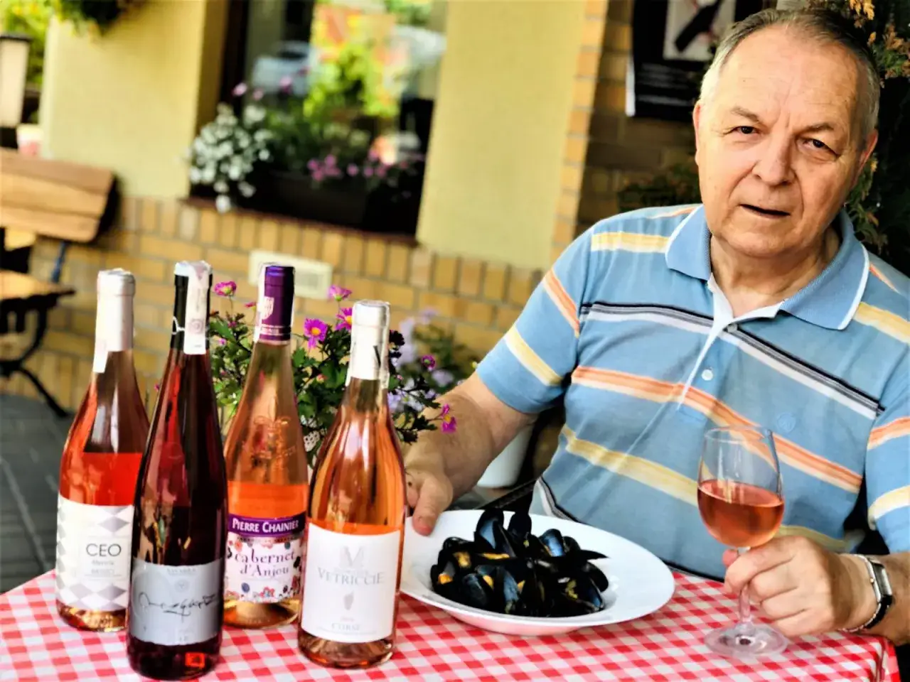 Wino: Skąd pochodzi i jak podbiło świat? Fascynująca historia.