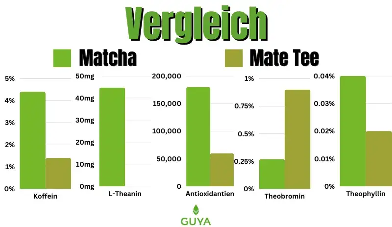 Matcha vs Yerba Mate: Kluczowe różnice i wybór idealnego napoju