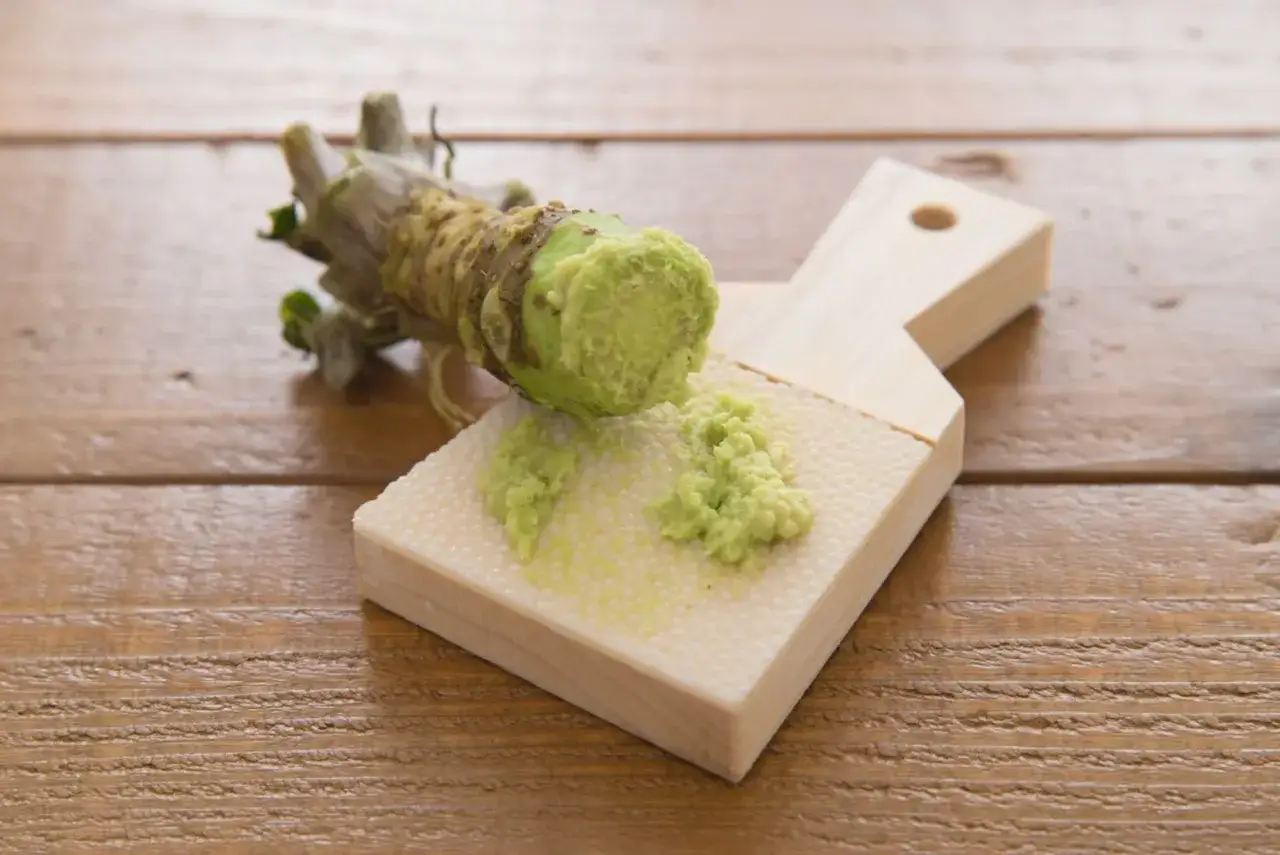 Świeży korzeń wasabi jest tarty na drewnianej tarce. Czy wasabi jest zdrowe? Tak, ma właściwości antybakteryjne i przeciwzapalne.