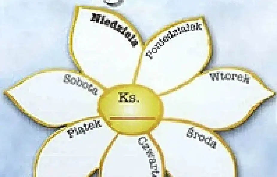 Duchowa adopcja kapłana - inicjatywy wsparcia dla kapłanów 