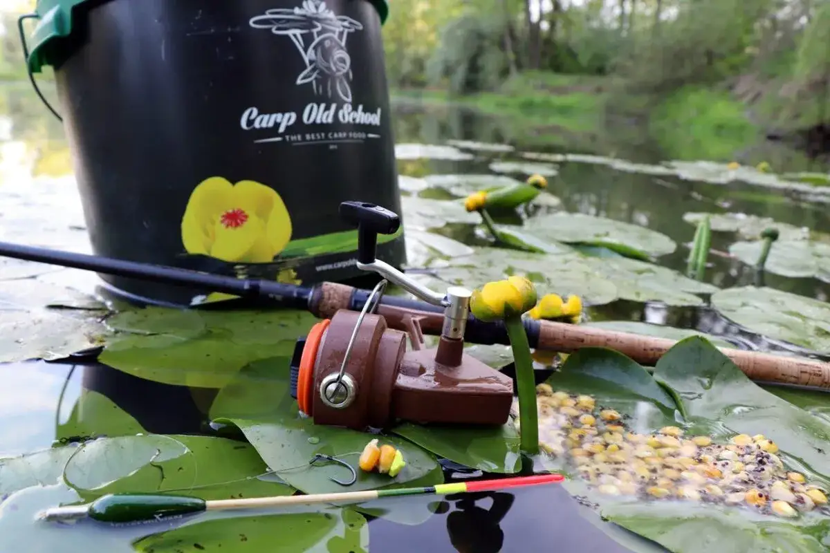 Wiadro "Carp Old School", wędka, kołowrotek i przynęta na liściach lilii wodnych. Idealne miejsce, by dowiedzieć się, jak łowić duże ryby na spławik.