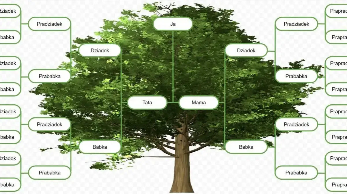 Jakie tajemnice kryje drzewo genealogiczne Adama i Ewy? Badamy