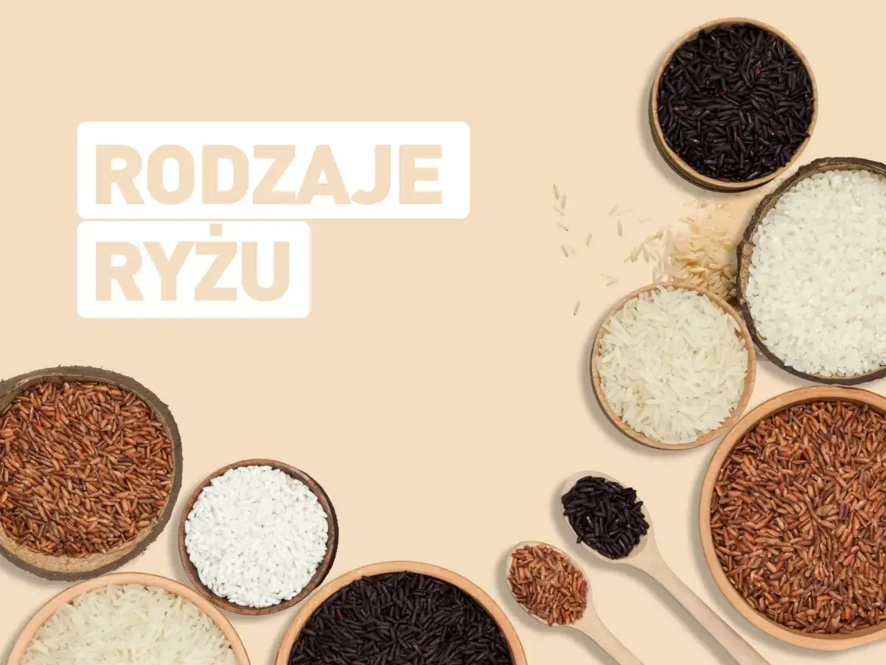 Różne rodzaje ryżu: biały, czarny i brązowy, w miseczkach i na łyżkach.