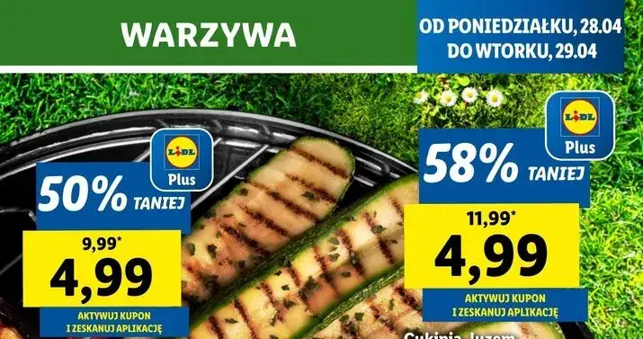 Lidl na grilla: co kupić? Hity, nowości i promocje 2025