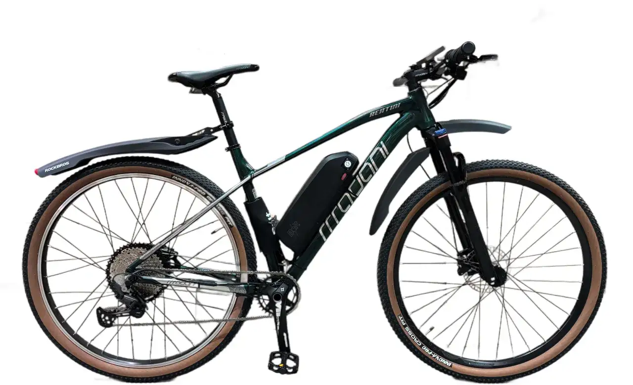 Zielony rower z napędem elektrycznym, zestaw do konwersji roweru 250w. Wyposażony w błotniki i opony z brązowymi bokami.