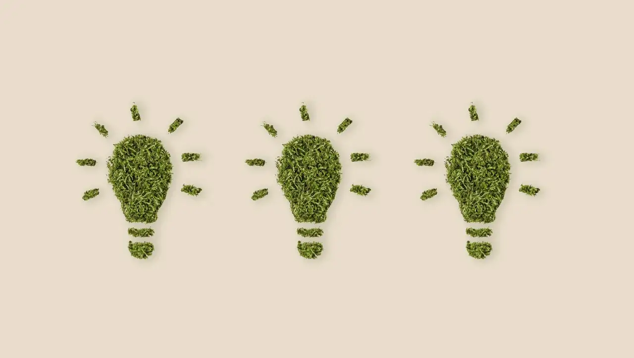 Trzy żarówki z mchu symbolizują ekologiczne pomysły i zielone certyfikaty.