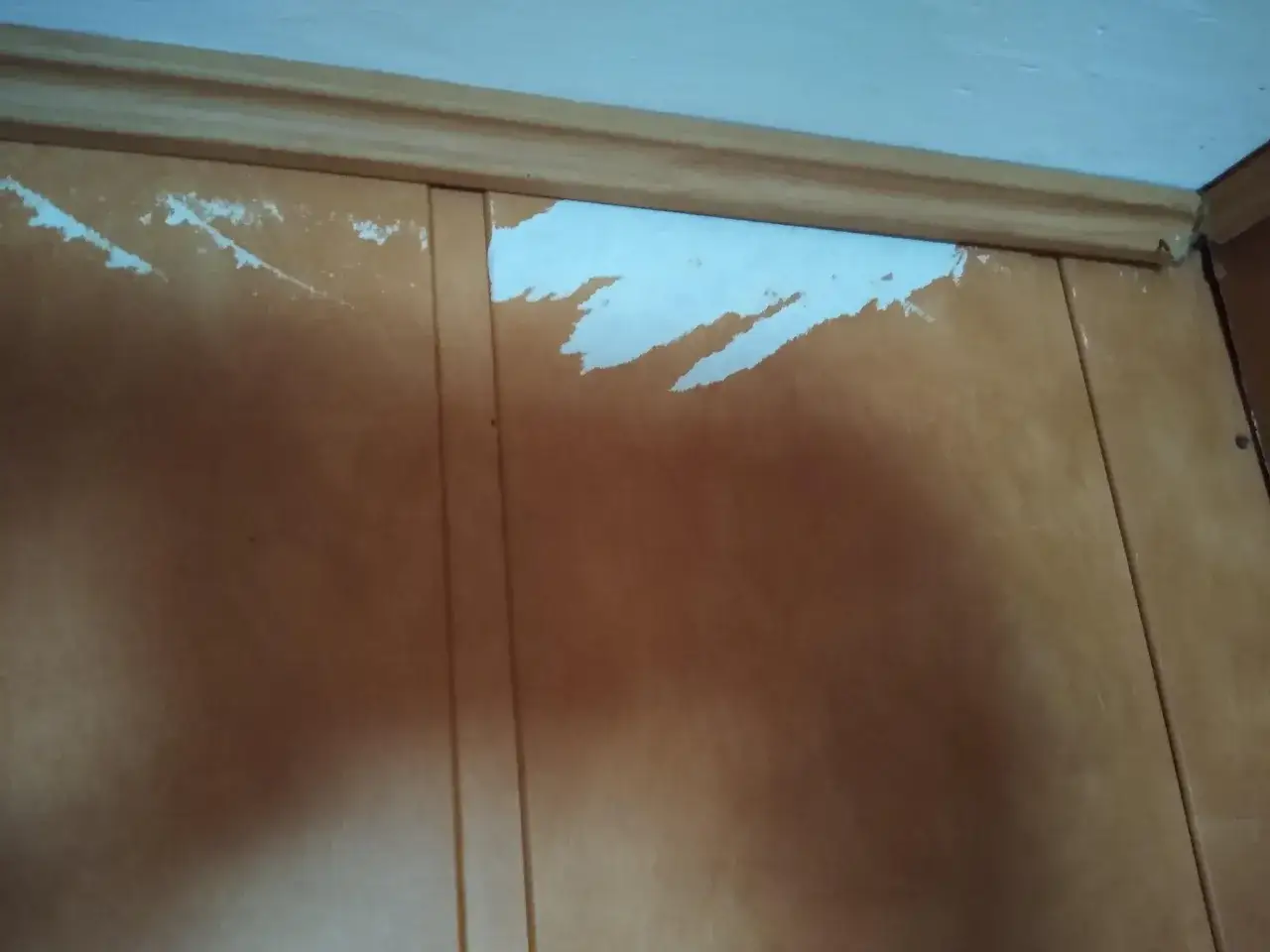 Uszkodzone panele ścienne, białe fragmenty odchodzą. Czy można malować panele ścienne papierowe?