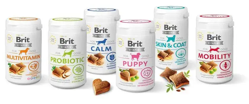 Jakie przysmaki dla szczeniaka wybrać, aby były zdrowe i smaczne?