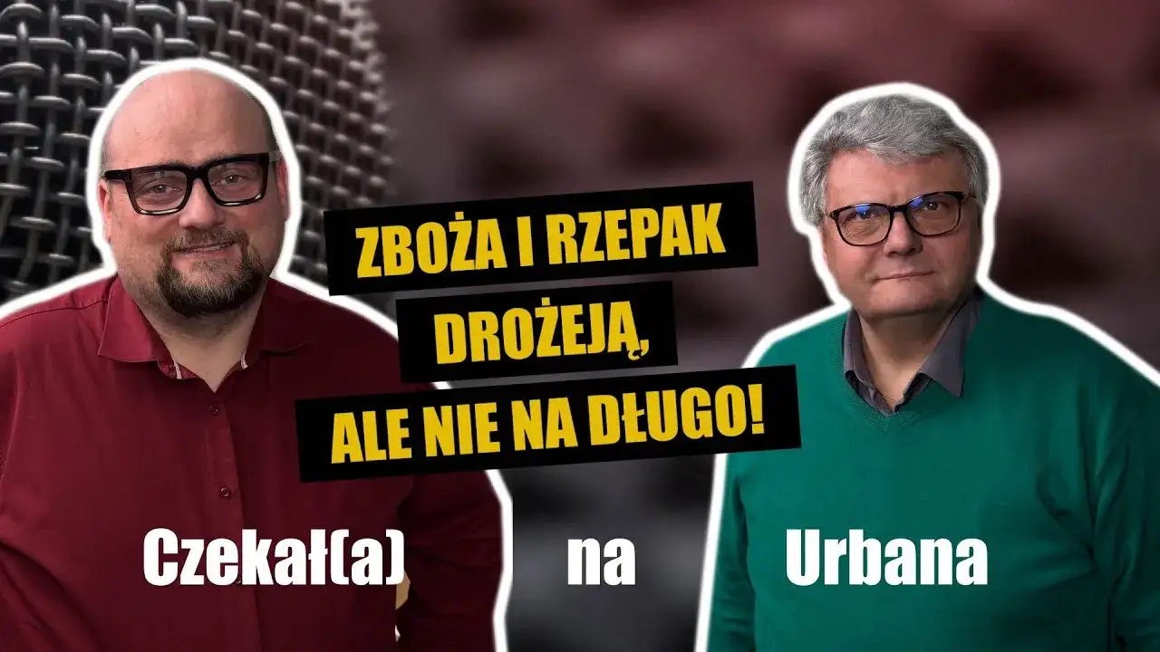 Aktualna cena rzepaku w skupie – nie daj się zaskoczyć!