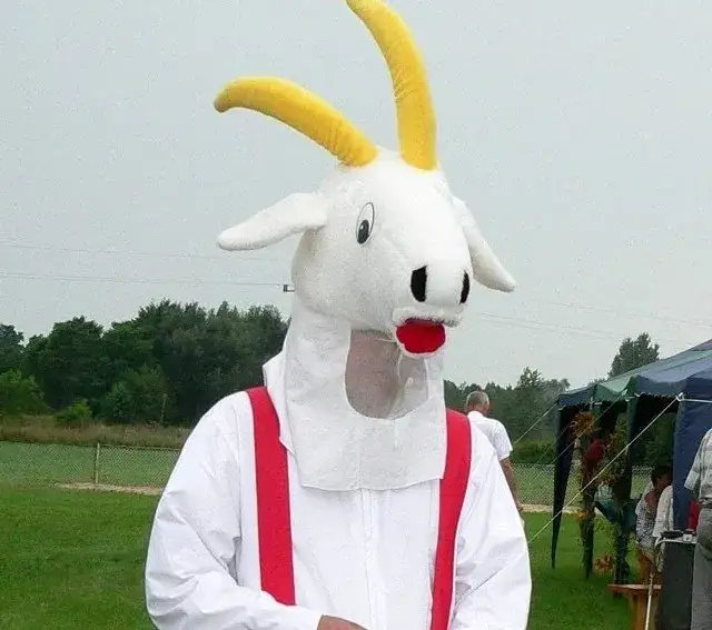 Strój Koziołka Matołka: Jak zrobić kultowy kostium DIY?