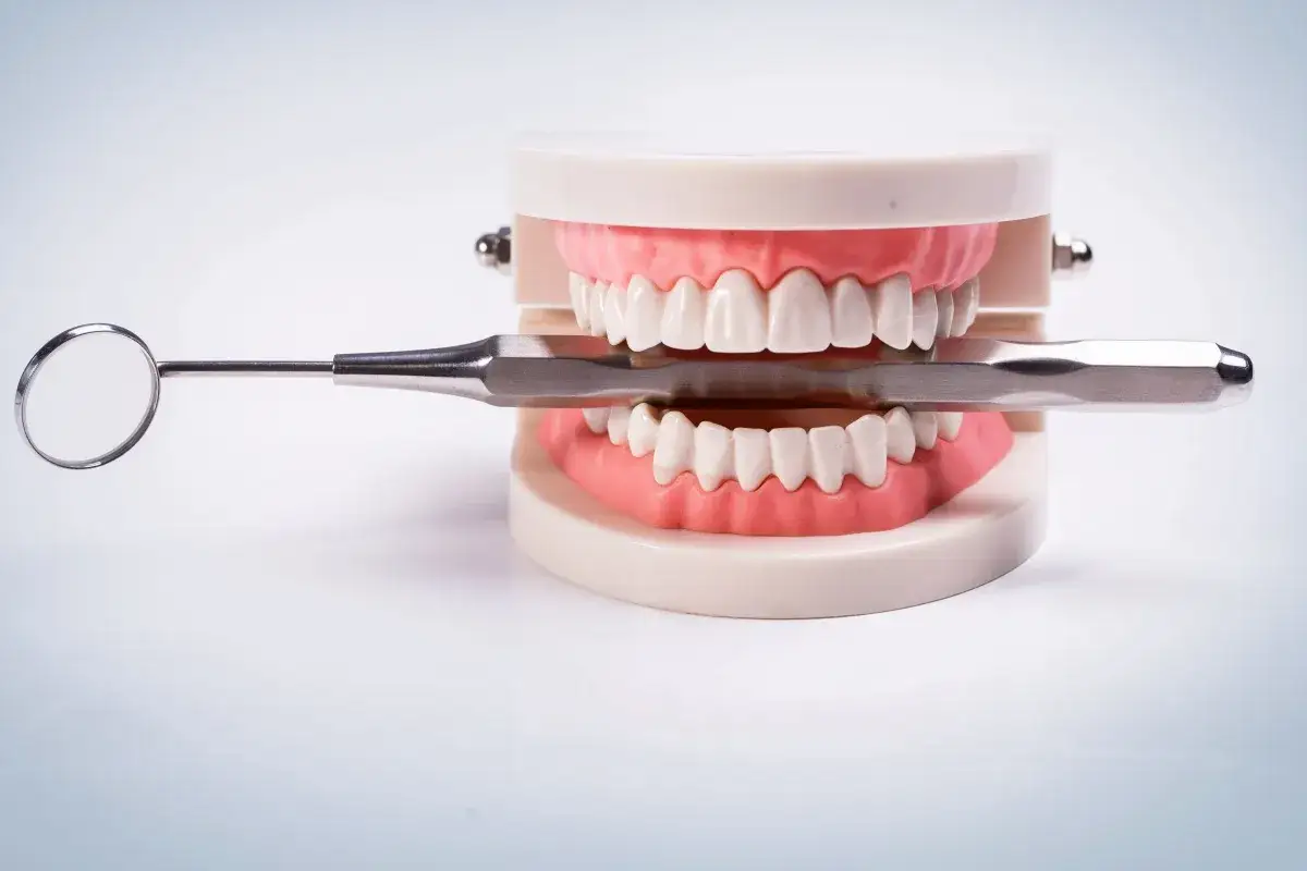 Ile zębów ma człowiek? Dzieci 20, dorośli 28-32 pełny przewodnik