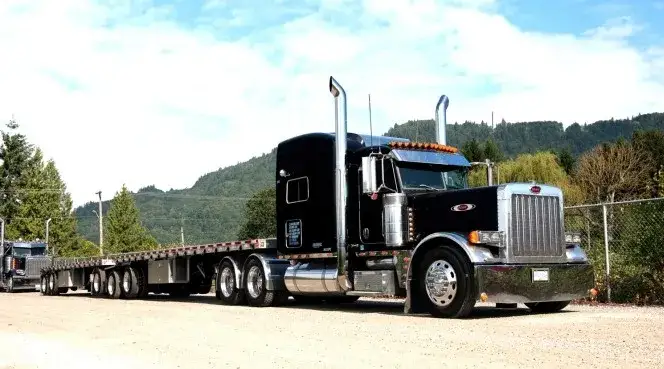 Ile zarabia firma transportowa bus? Fakty o przychodach i kosztach