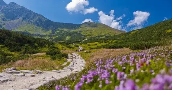 Gdzie jechać w góry w Polsce? Odkryj najlepsze miejsca na wypoczynek