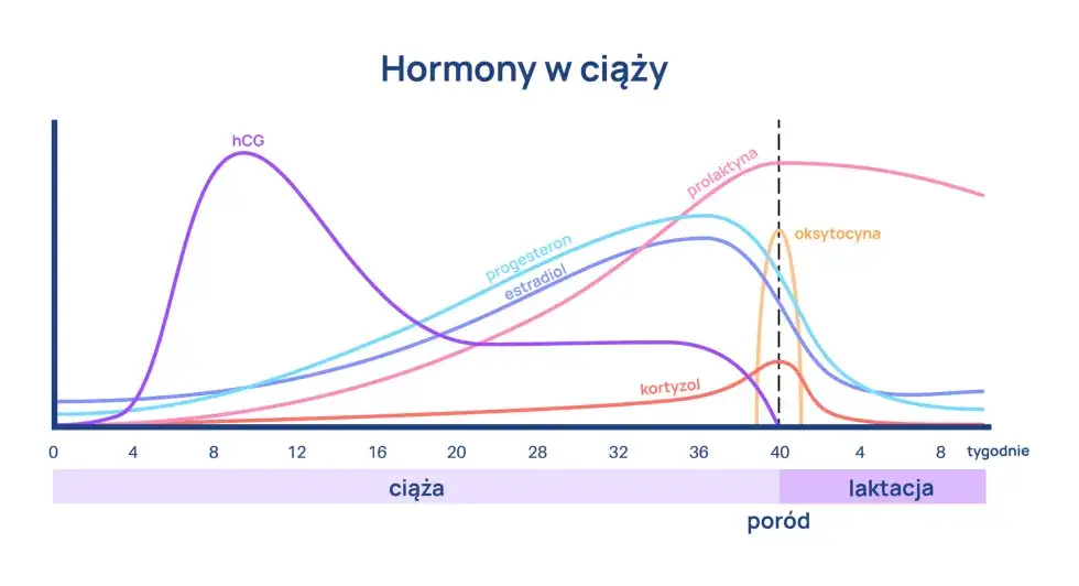 Progesteron po owulacji: Klucz do ciąży? Zrozum swoje wyniki