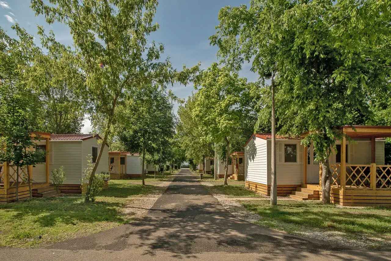 Alejka na hajdu camping, otoczona drzewami i białymi domkami z werandami.
