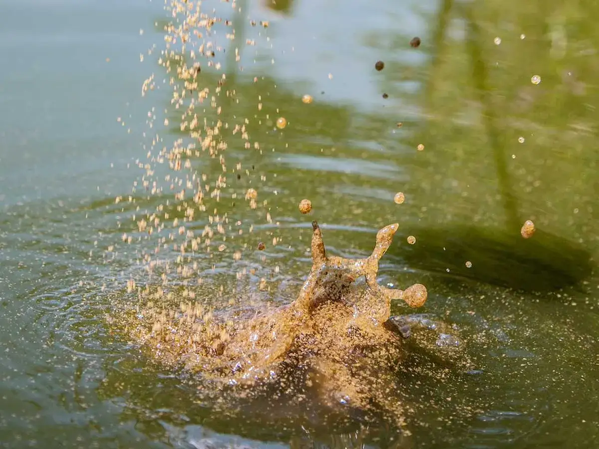 Tanie zanęty wędkarskie rozsypują się na wodzie, tworząc efektowny rozbryzg.
