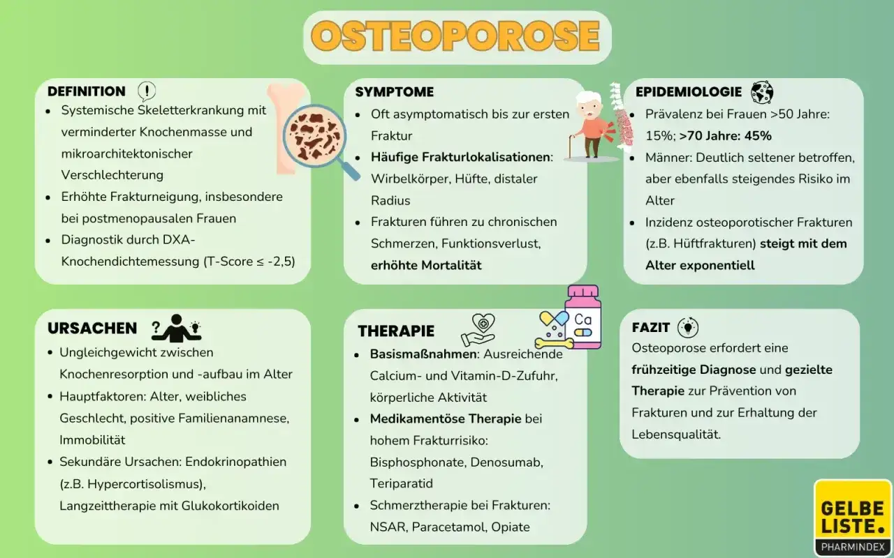 Infografik zu Osteoporose: Definition, Symptome, Ursachen, Therapie, Epidemiologie und Fazit.