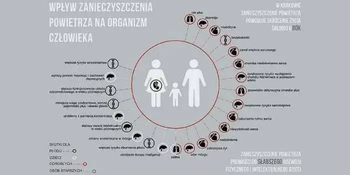 Jakie są skutki zanieczyszczeń? Szokujące efekty dla zdrowia i środowiska