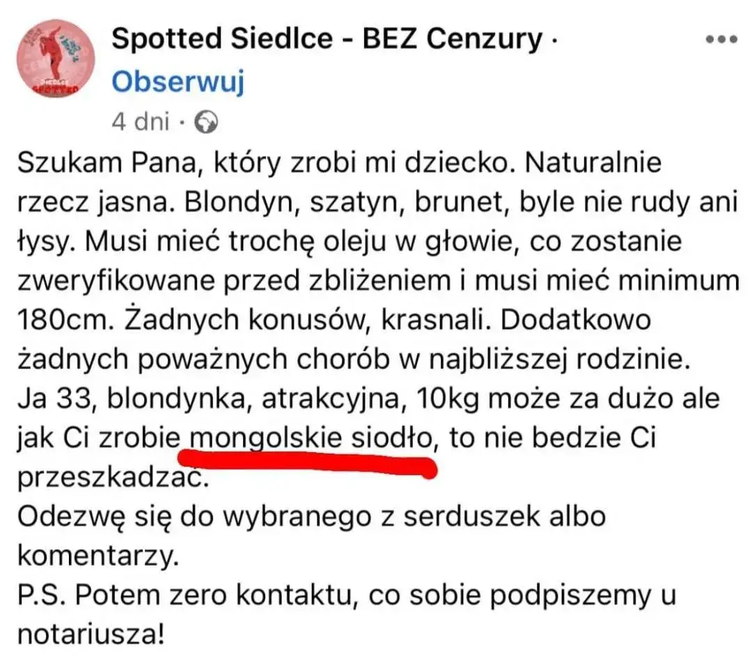 Co to jest mongolskie siodło? Niezwykła historia i budowa