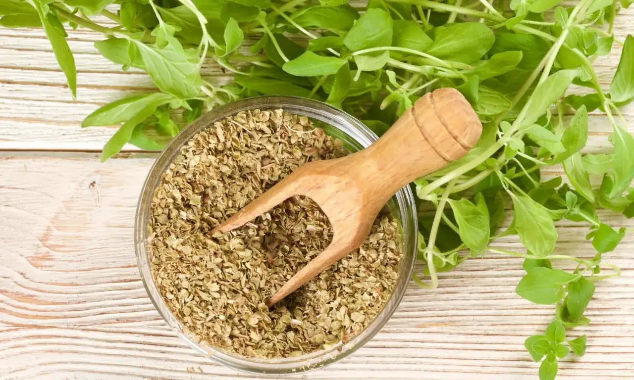 Suszone oregano w misce i świeże gałązki. Idealne do pizzy, sosów pomidorowych i dań kuchni śródziemnomorskiej. Oregano do jakich potraw? Do wszystkiego co pyszne!